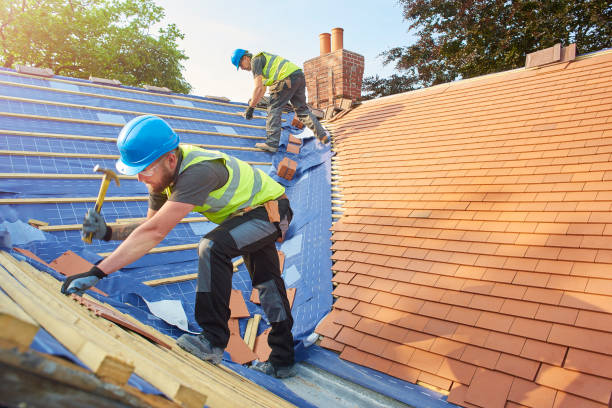 Best Asphalt Shingle Roofing  in Bort, GA